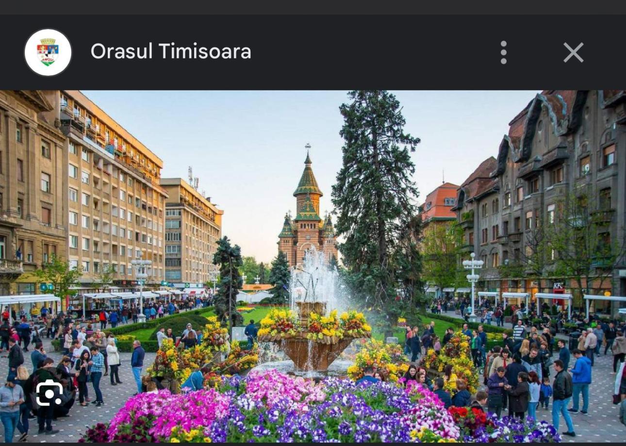 Apartament Lux Crialy - 75 M2 - Free Parking Timisoara Ngoại thất bức ảnh